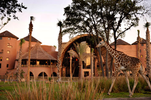 Animal Kingdom Lodge Villas