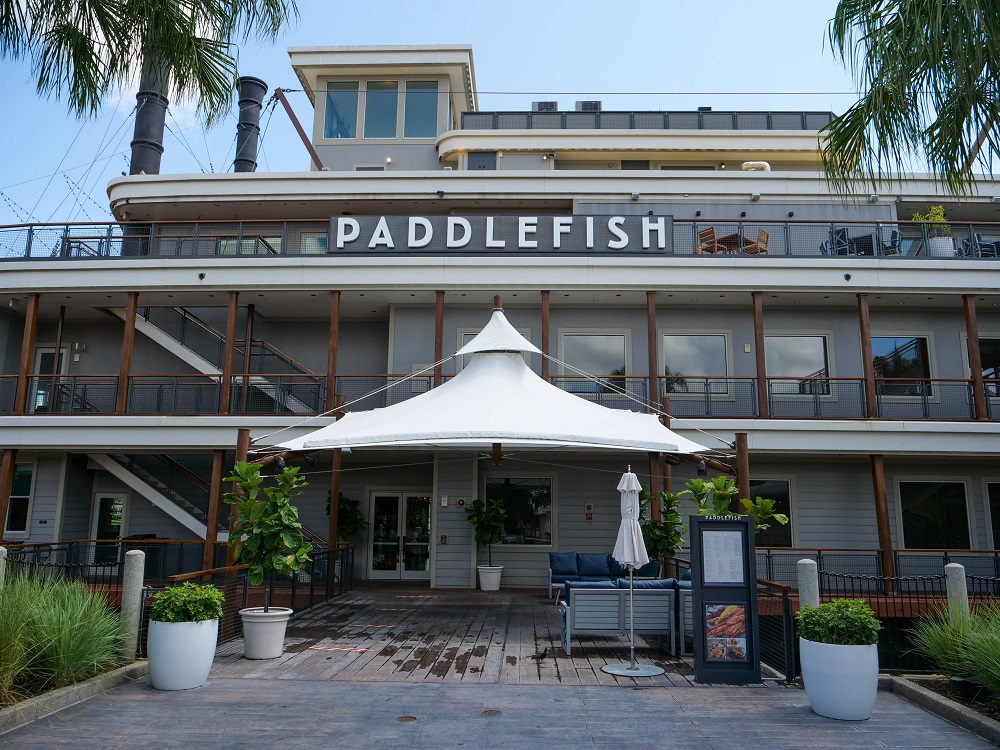 paddlefish